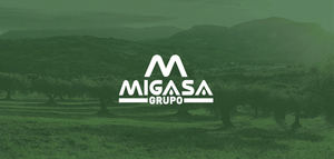 MIGASA: la visión a largo plazo como estrategia de valor