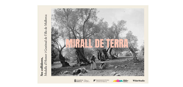 'Mirall de Terra', un documental sobre las recolectoras de aceituna