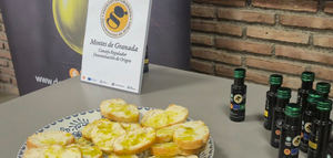La Diputación de Granada respalda un proyecto de la DOP Montes de Granada sobre olivar tradicional y el valor del AOVE con este sello de calidad