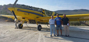 La DOP Baena pone en marcha un tratamiento aéreo para luchar contra la mosca del olivo