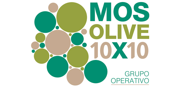 MOSOLIVE10x10 busca minimizar la contaminación por MOSH y MOAH en la producción de aceite de oliva