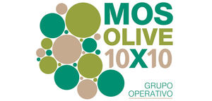 MOSOLIVE10x10 busca minimizar la contaminación por MOSH y MOAH en la producción de aceite de oliva