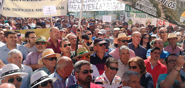 Los olivareros retomarán el calendario de protestas por los bajos precios