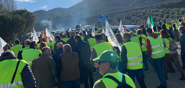 'Éxito absoluto' de las movilizaciones en la provincia de Jaén