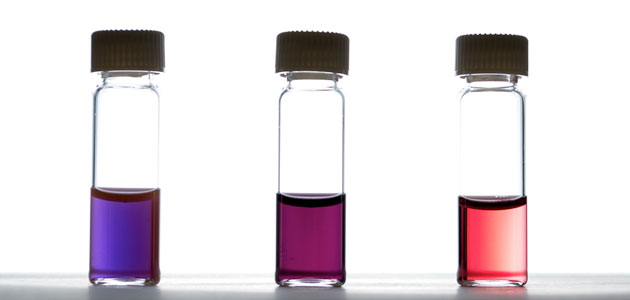 Investigadores de la UA desarrollan nanopartículas de aceite de oliva para descontaminar el agua