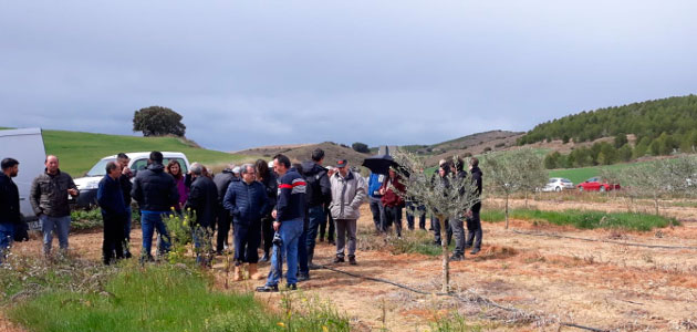Profesionales agrícolas aprenden técnicas de gestión de malas hierbas en el olivar