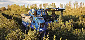 New Holland presenta el modelo exclusivo para olivar Braud 10.90X