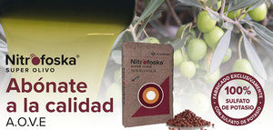 Nitrofoska® Super Olivo : fertilización de calidad para una rentabilidad sostenida del olivar