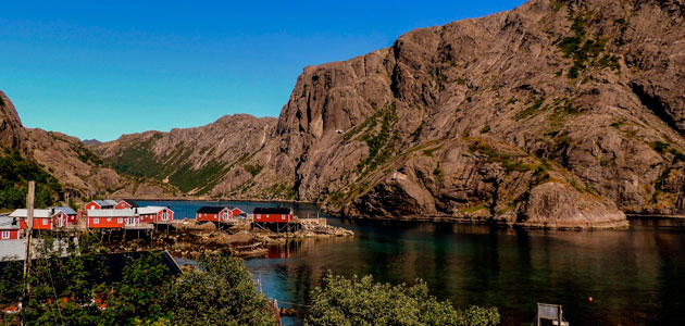 El aceite de oliva gana terreno en Noruega