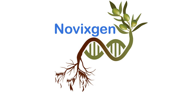 Xylella fastidiosa y cambio climático en la olivicultura: en marcha el proyecto Novixgen