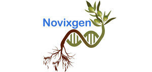 Xylella fastidiosa y cambio climático en la olivicultura: en marcha el proyecto Novixgen