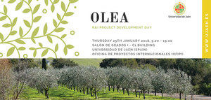 La UJA promueve los nuevos proyectos internacionales para la investigación del olivar