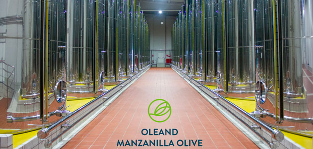 Oleand Manzanilla Olive SCA se alza con el Premio AEMO a la Mejor Almazara de España 2023