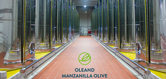 Oleand Manzanilla Olive SCA se alza con el Premio AEMO a la Mejor Almazara de España 2023