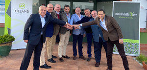 Oleand y Manzanilla Olive aprueban su fusión para crear la mayor cooperativa de aceituna de mesa de Andalucía