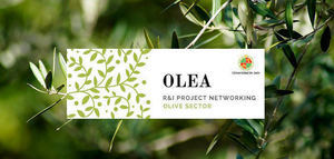 Finaliza el III Olea International Project Networking Event