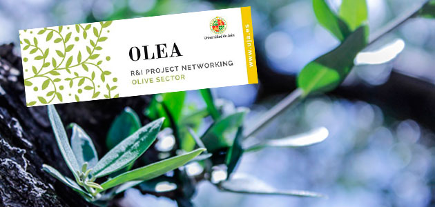 OLEA Initiative, una iniciativa para impulsar proyectos de I+D a nivel internacional en el sector oleícola
