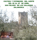 Olearum celebrará en Salamanca su VII Congreso 