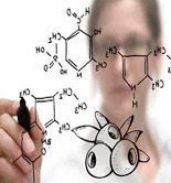 Crean un grupo de trabajo para estudiar los compuestos fenólicos más destacados de los AOVEs