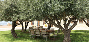 ¿Quieres formar parte de una publicación sobre oleoturismo a nivel mundial? Envía tu experiencia