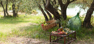 Cuando el turismo multiplica el valor del aceite de oliva: la apuesta por el oleoturismo