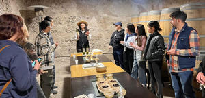 Argentina impulsa el desarrollo del oleoturismo