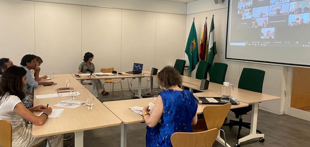 Constituida la Mesa de Impulso del Oleoturismo en la provincia de Sevilla