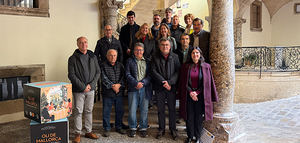 La DOP Oli de Mallorca presenta los primeros AOVEs de la campaña con sello de calidad