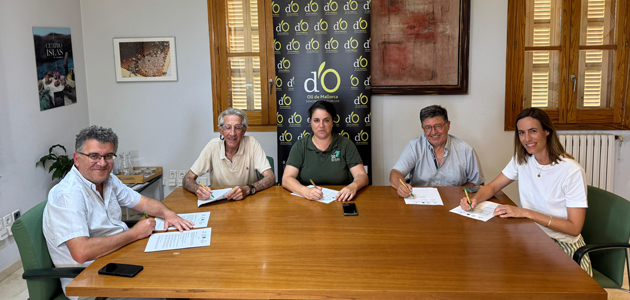 Nace en Mallorca el proyecto 'Vida en los olivares'