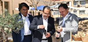 La I Muestra Olis d'Alacant destaca la excelencia del AOVE alicantino y refuerza el camino hacia la DOP