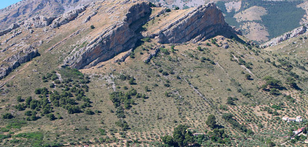 La UE da luz verde a la IGP 'Aceites de Jaén'