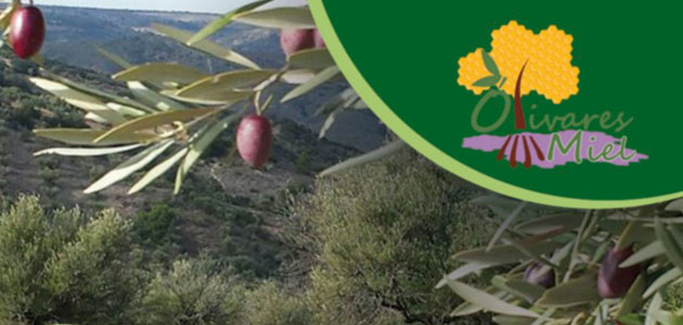 Olivares de miel, en busca de una alternativa sostenible a los olivares tradicionales madrileños