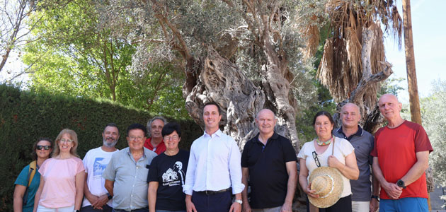 El Territorio Sénia y la Sierra de Tramuntana, unidos por los olivos milenarios