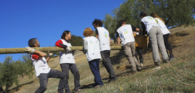 “El olivar es el cultivo más importante para la conservación de la biodiversidad en Europa”