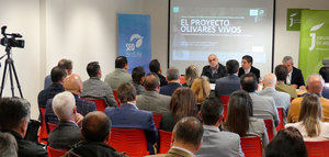 El encuentro de la Red de Municipios por los Olivares Vivos reúne a más de 60 ayuntamientos