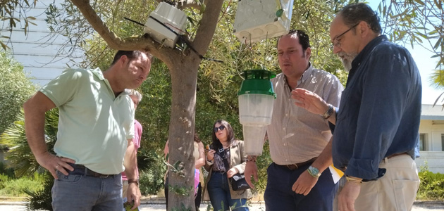 El proyecto oliVAr revoluciona la gestión de plagas en el olivar con tecnología inteligente y visión artificial