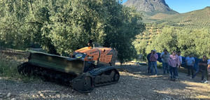 Innovación y tecnología aplicada al olivar de montaña