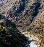 La producción de aceite de oliva en Portugal registró uno de sus máximos históricos en 2015