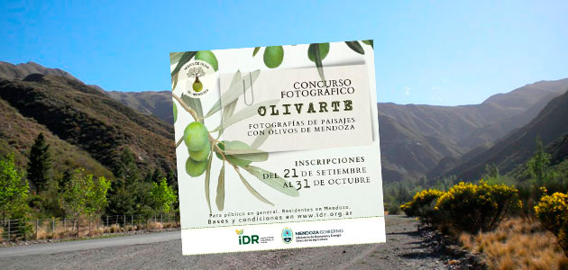 'Olivarte': en busca de la mejor fotografía del paisaje olivarero de Mendoza (Argentina)