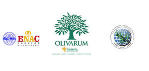 Olivarum obtiene el reconocimiento del COI para 2020