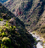 Aumenta la productividad de los olivares en Portugal