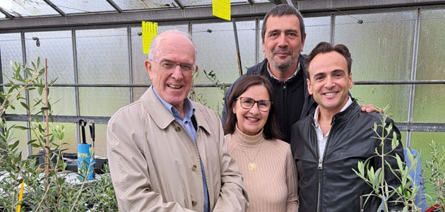 'Oliveiras de Galicia', impulsando el desarrollo del olivo autóctono gallego
