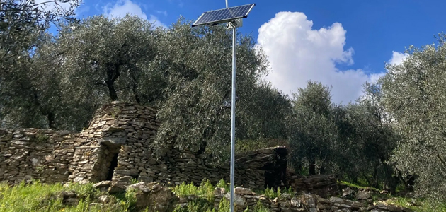 Olivicultura 4.0: sensores y nuevas tecnologías al servicio del agricultor italiano