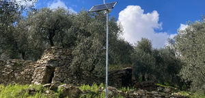 Olivicultura 4.0: sensores y nuevas tecnologías al servicio del agricultor italiano