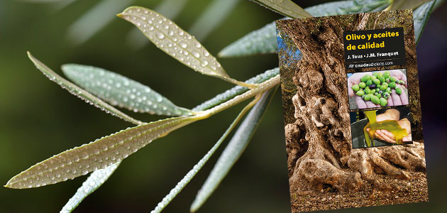 'Olivo y aceites de calidad', un análisis del sector oleícola desde una perspectiva histórico-técnica