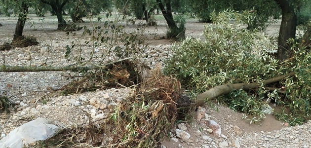 El MAPA abre el plazo para solicitar las ayudas para la maquinaria agrícola dañada por la DANA