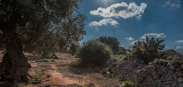 Un encuentro científico analiza en Córdoba la relación entre nuevos patógenos y seguridad alimentaria