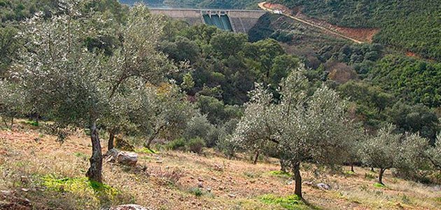 Extremadura autoriza el decreto que regula el régimen de ayudas a la mejora y modernización de explotaciones agrarias