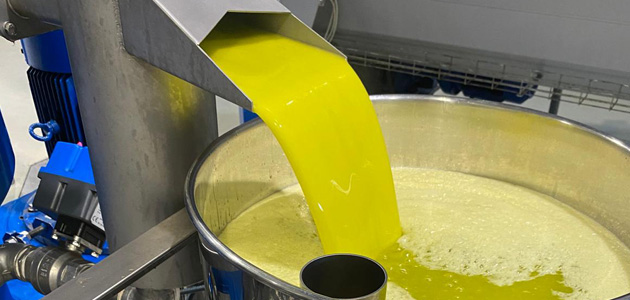 Olivum prevé que la campaña de aceituna de 2025 en Portugal podría registrar una caída del 20%