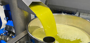 Olivum prevé que la campaña de aceituna de 2025 en Portugal podría registrar una caída del 20%